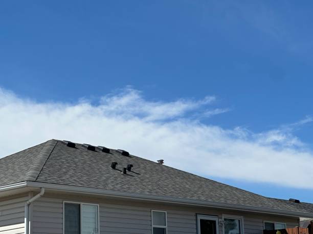 Best Asphalt Shingles Roofing  in Garretson, SD